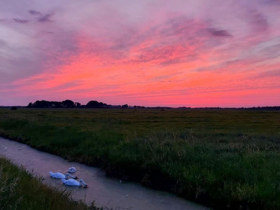 De Veenweide De Veenhoop Bagian luar foto