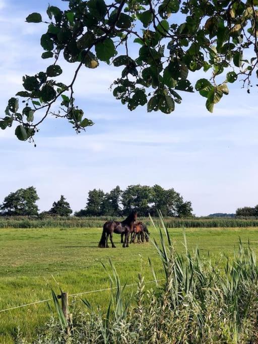 De Veenweide De Veenhoop Bagian luar foto